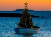 Dinghy tree off Marblehead