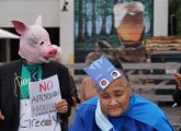 Pig and senior protest lawsuit against senior housing in Jamaica Plain