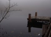 Turtle Pond in the fog