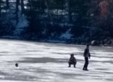 Man in Walden Pond on purpose