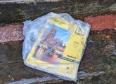 Yellow Pages on our steps