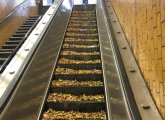 Escalator covered in leaves at Bowdoin station