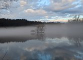 Fog at Jamaica Pond this morning