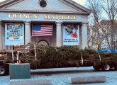 Quincy Market tree