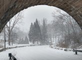 Looking through the tunnel towards the Arnold Arboretum