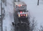 Turkeys blocking an ambulance in Dorchester