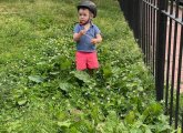 Kid deep in the weeds in East Boston