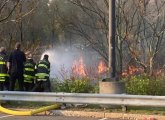 Everett brush fire