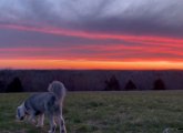 Sunrise over Turkey Hill