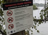 Sign at Jamaica Pond warning people not to drink or go in the water