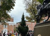 An early Christmas tree in the North End