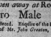 Ad in colonial newspaper offering a free negro male child in Roxbury