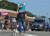 Cat and dog in Roslindale parade