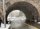 Snowy Arboretum just past the Archdale bridge