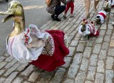 Mrs. Mallard and ducklings dressed in Ukrainian clothes