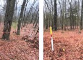 Two views of Cambridge's land, next to the gas-company site