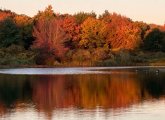 Calm waters and fall trees along the Charles