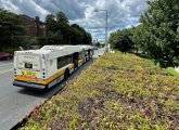 Bus shelter with plants on top