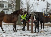 Two Boston Park rangers get horses ready for a ride around Jamaica Pond