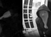 Surveillance photos of prowler