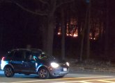 Brush fire in the woods off West Roxbury Parkway and Weld Street