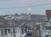 Wolf moon over Roslindale