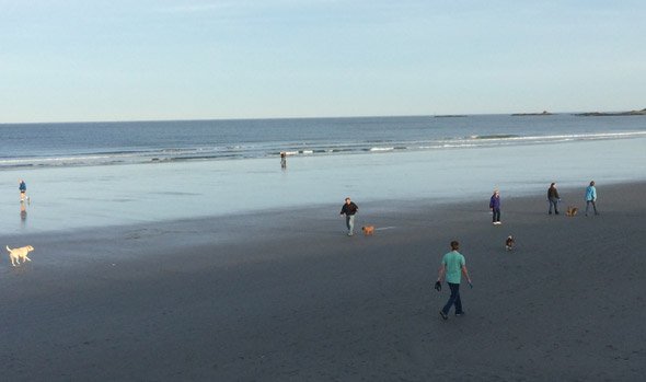 People on Nantasket Beach in Hull