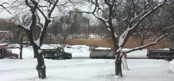 Trucks full of snow in the Fenway