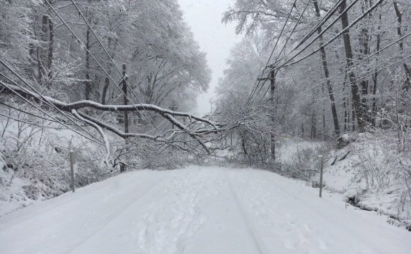 Downed wires, trees on Green Line in Newton