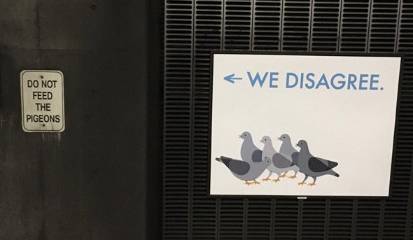 JetBlue pigeons in Back Bay station on the Orange Line