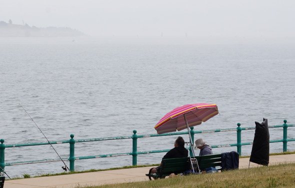 Pink umbrella at Castle Island