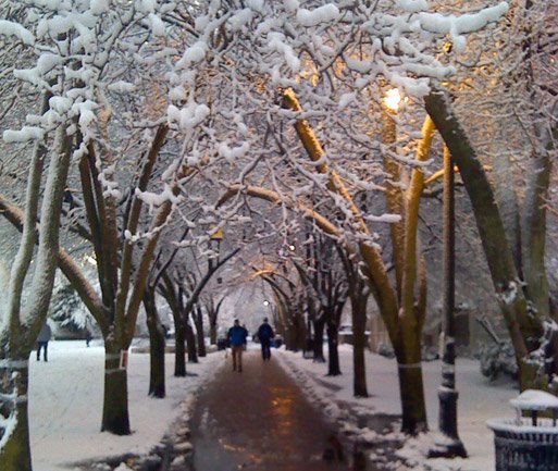 Seven Hills Park after the snowstorm