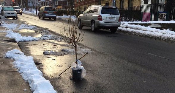 Space saver on Glen Street in Jamaica Plain