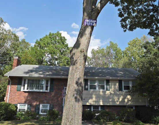 Trump sign in Walpole