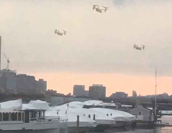 Ospreys over Cambridge