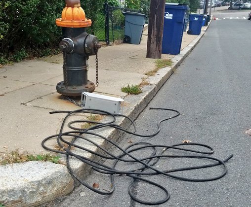 Tangled cable in Roslindale