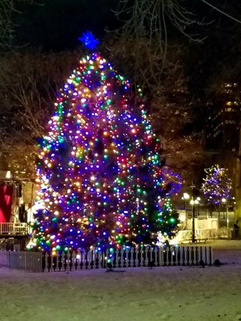 Nova Scotia Christmas tree on Boston Common