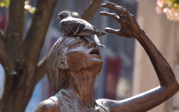 Pigeon on Irish Famine Memorial woman in Downtown Crossing