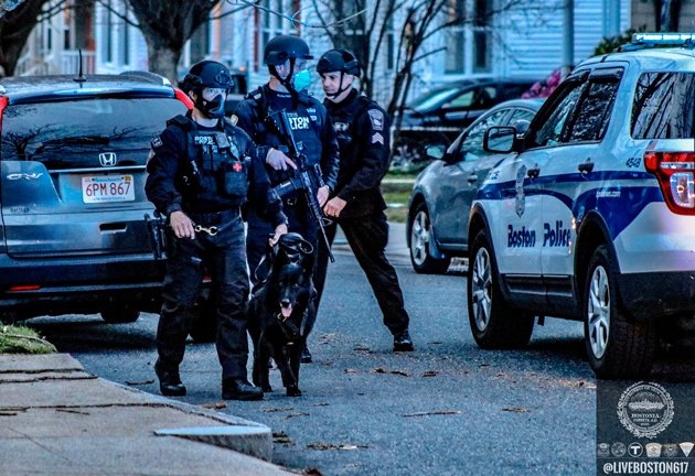 Boston Police Department (Official) - New Kitty Condo for SWAT Cat - Team  Mascot Moves into New Home at Boston Police SWAT Base in Roxbury Yesterday,  on Friday February 10, 2017, officers