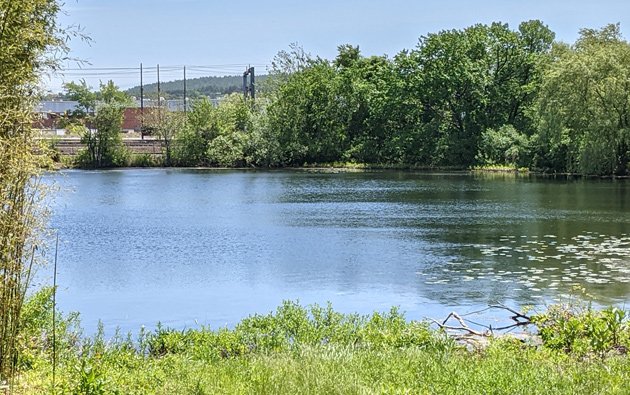 Sprague Pond