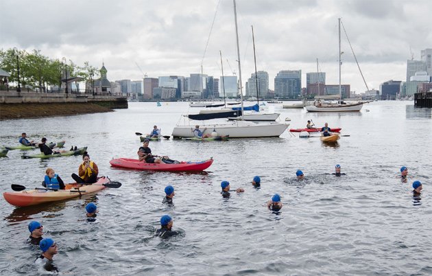 Seals, others get ready to swim from East Boston to downtown