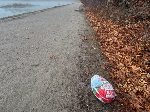 Frozen turkey by the Chestnut Hill Reservoir