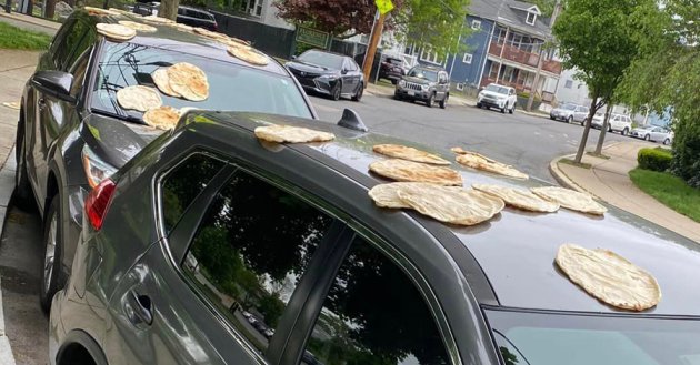 Pita scattered on cars in Roslindale