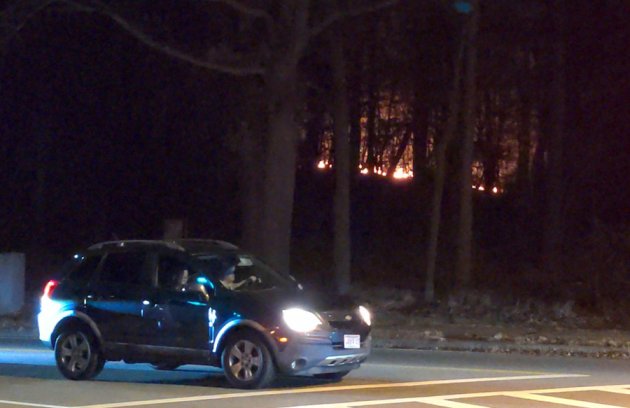 Brush fire in the woods off West Roxbury Parkway and Weld Street