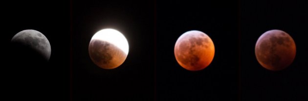 Super blood wolf moon