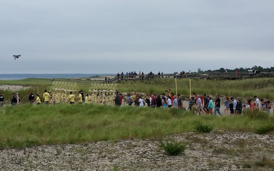 Crane Beach strandbeests