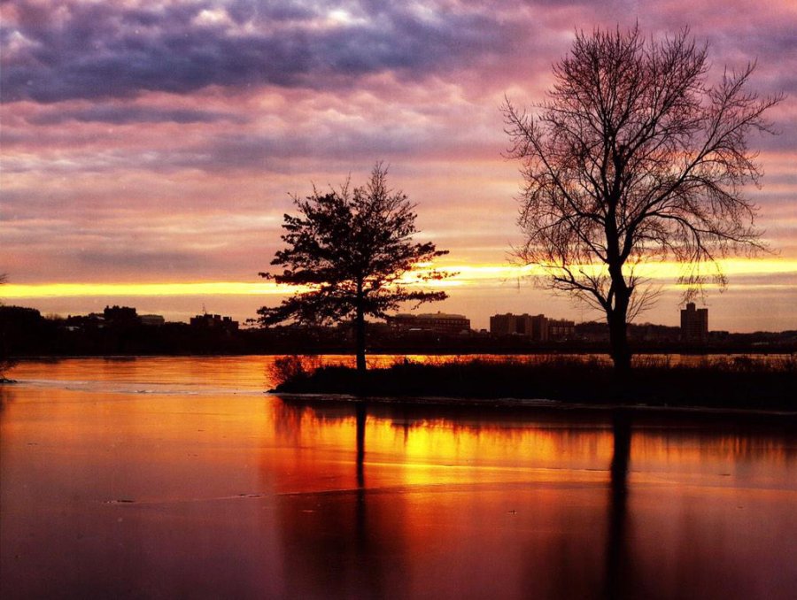 Charles River sunset