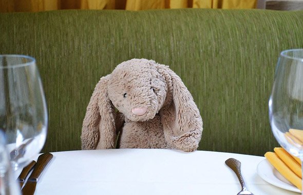 Lost bunny at Mistral Bunny