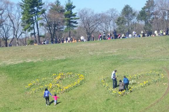 Peace and love on a Jamaica Plain hillside