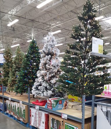 Christmas trees at Stoughton BJ's